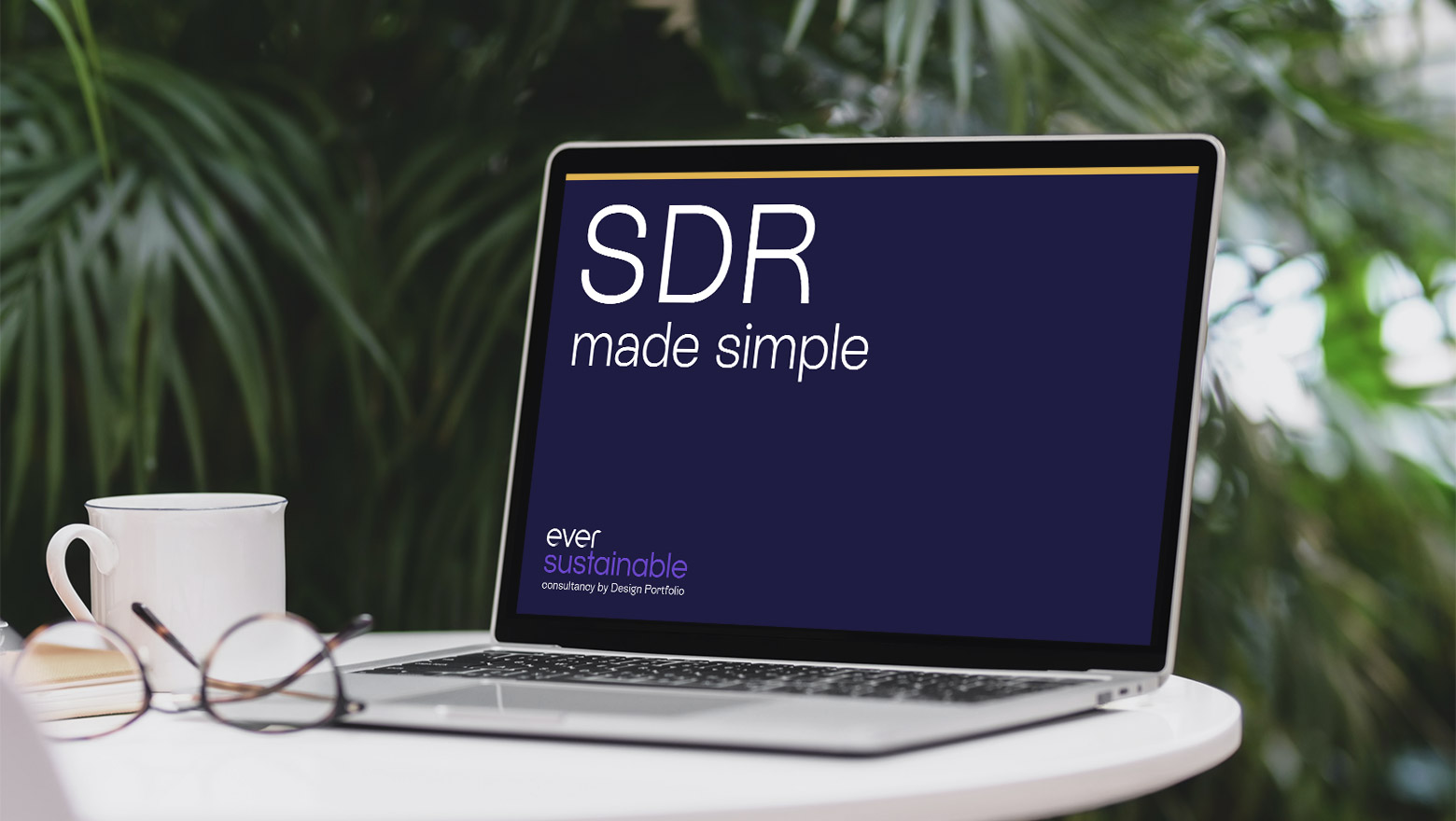 SDR-blog.jpg