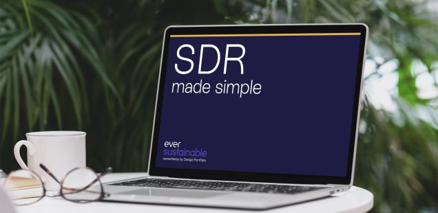 SDR-blog.jpg